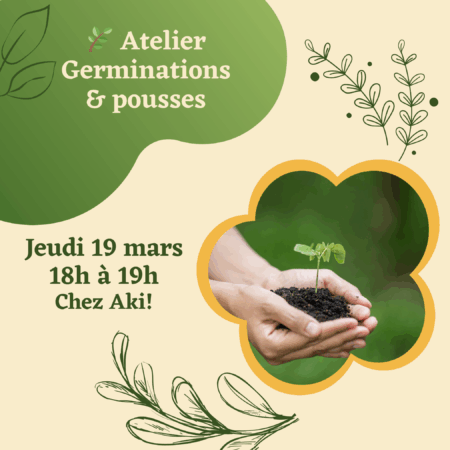Atelier germination et pousses