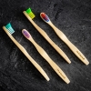 Brosse à dents (Enfant)