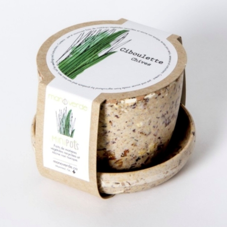 Ciboulette- pot fibres recyclées - Mano Verda