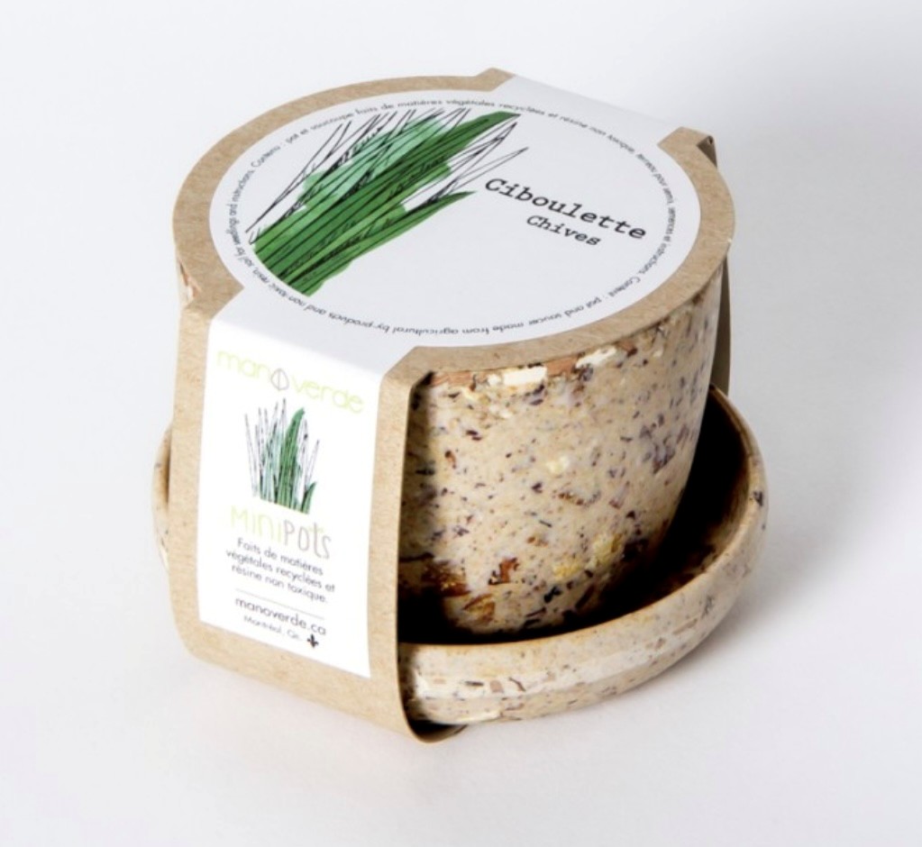 Ciboulette- pot fibres recyclées - Mano Verda