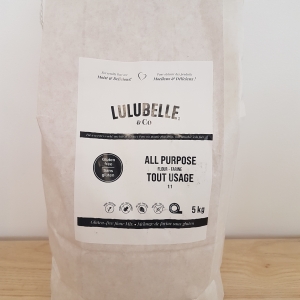 Farine tout usage sans gluten - Lulubelle (Copie)