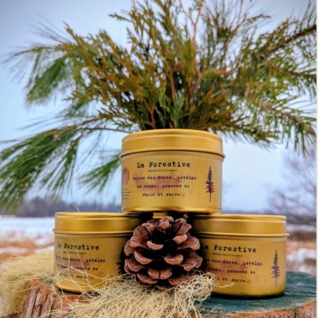 Faux miel de pissenlit et thé du Labrador - Vers Forêt 2