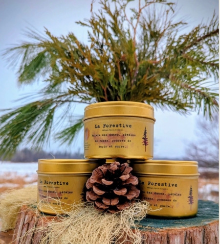 Faux miel de pissenlit et thé du Labrador - Vers Forêt 2