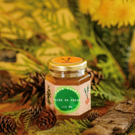 Faux miel de pissenlit et thé du Labrador - Vers Forêt 3