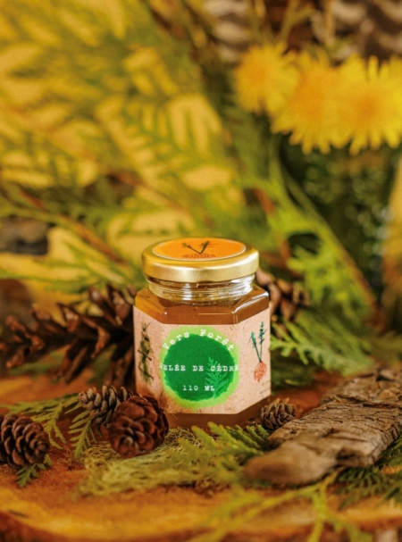 Faux miel de pissenlit et thé du Labrador - Vers Forêt 3