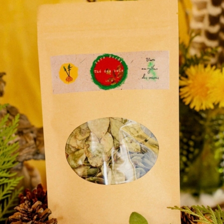 Faux miel de pissenlit et thé du Labrador - Vers Forêt