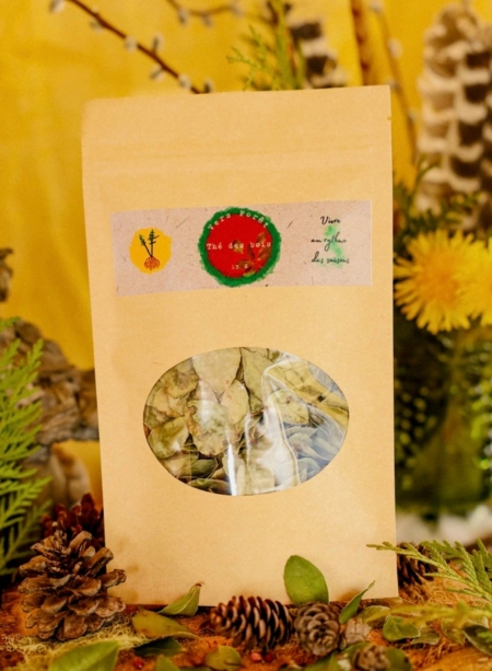 Faux miel de pissenlit et thé du Labrador - Vers Forêt