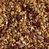 Granola Vitalité – Fourmi bionique 1