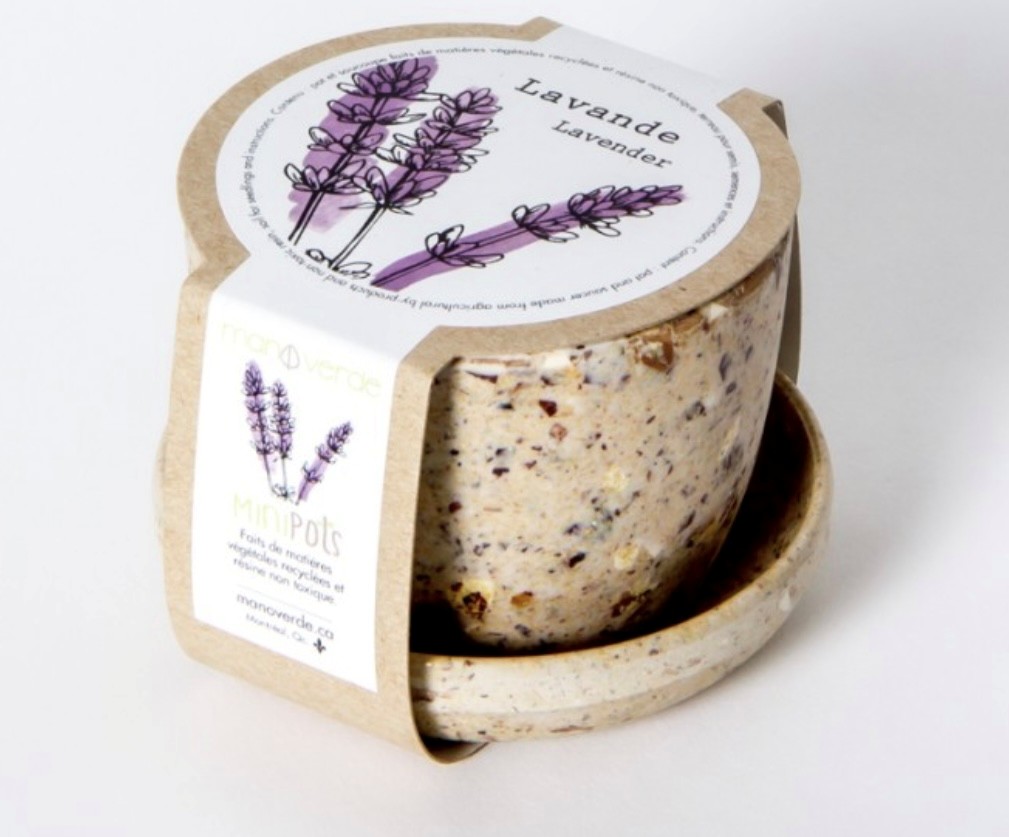 Lavande - pot fibres recyclées - Mano Verda 7