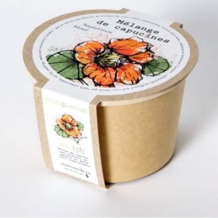 Lavande - pot fibres recyclées - Mano Verda