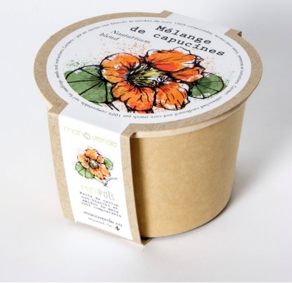 Lavande - pot fibres recyclées - Mano Verda