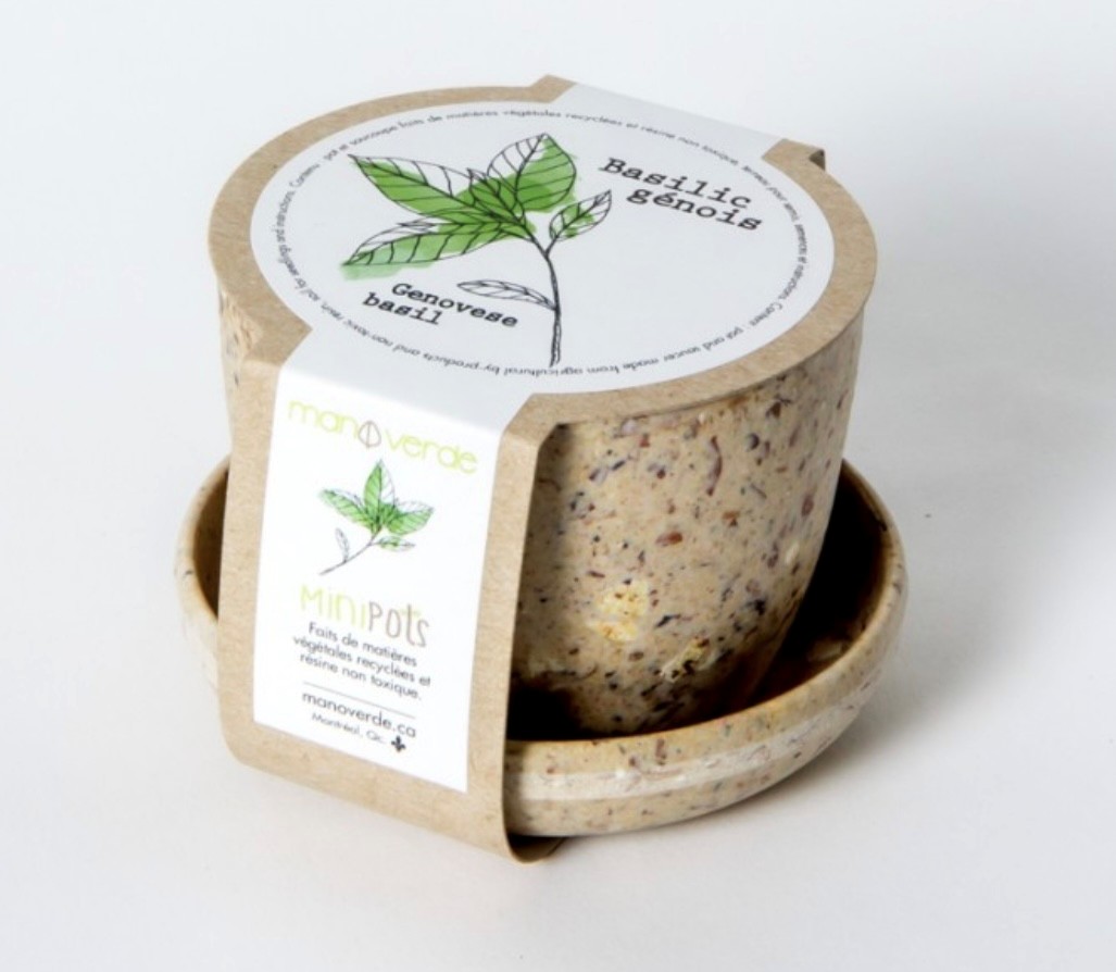 Lavande - pot fibres recyclées - Mano Verda 1