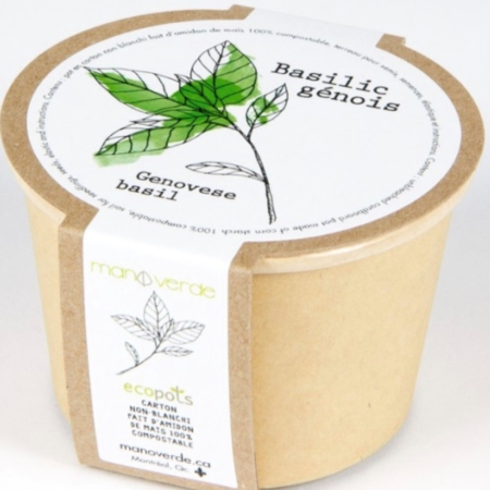 Lavande - pot fibres recyclées - Mano Verda 2