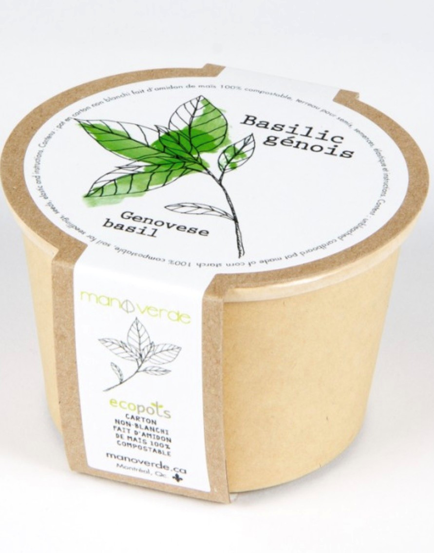 Lavande - pot fibres recyclées - Mano Verda 2