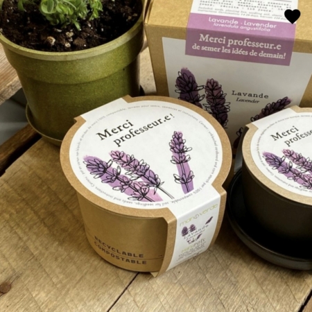 Lavande - pot fibres recyclées - Mano Verda 4