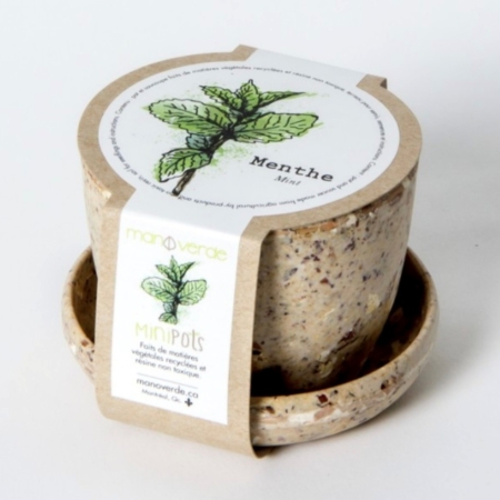 Lavande - pot fibres recyclées - Mano Verda 5