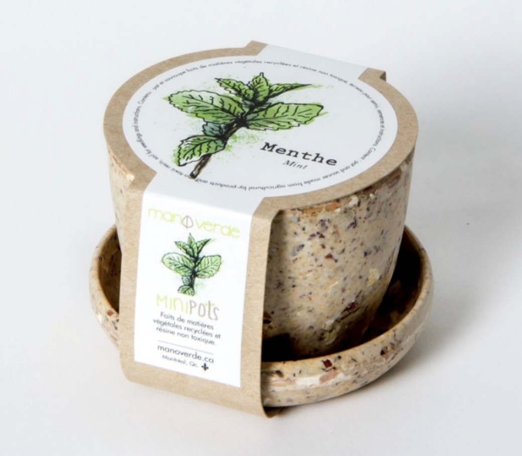 Lavande - pot fibres recyclées - Mano Verda 5