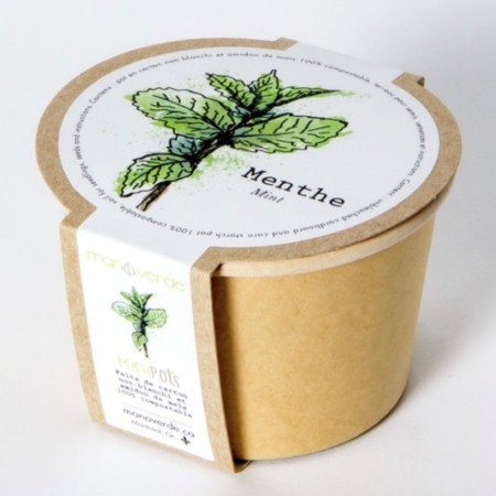 Lavande - pot fibres recyclées - Mano Verda 6