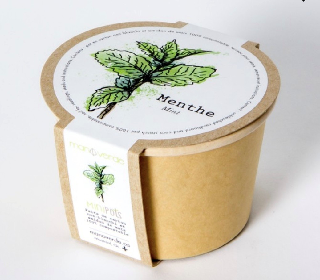 Lavande - pot fibres recyclées - Mano Verda 6