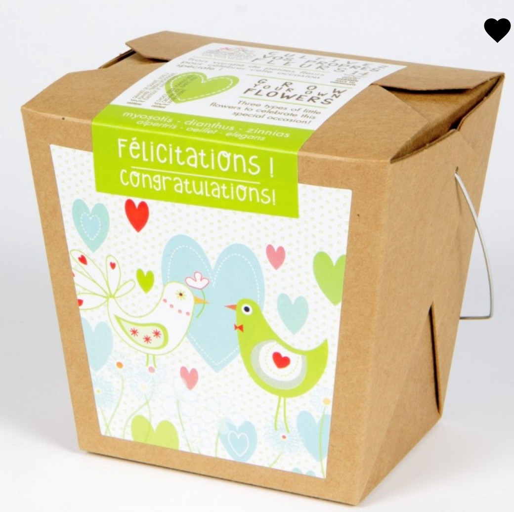 Merci professeur-e- lavande- Boite à semer - Mano Verda