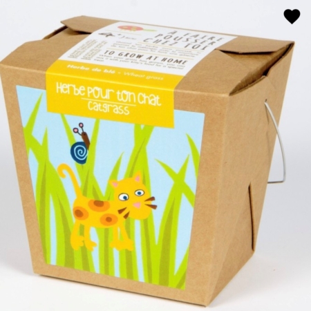 Merci professeur-e- lavande- Boite à semer - Mano Verda 2