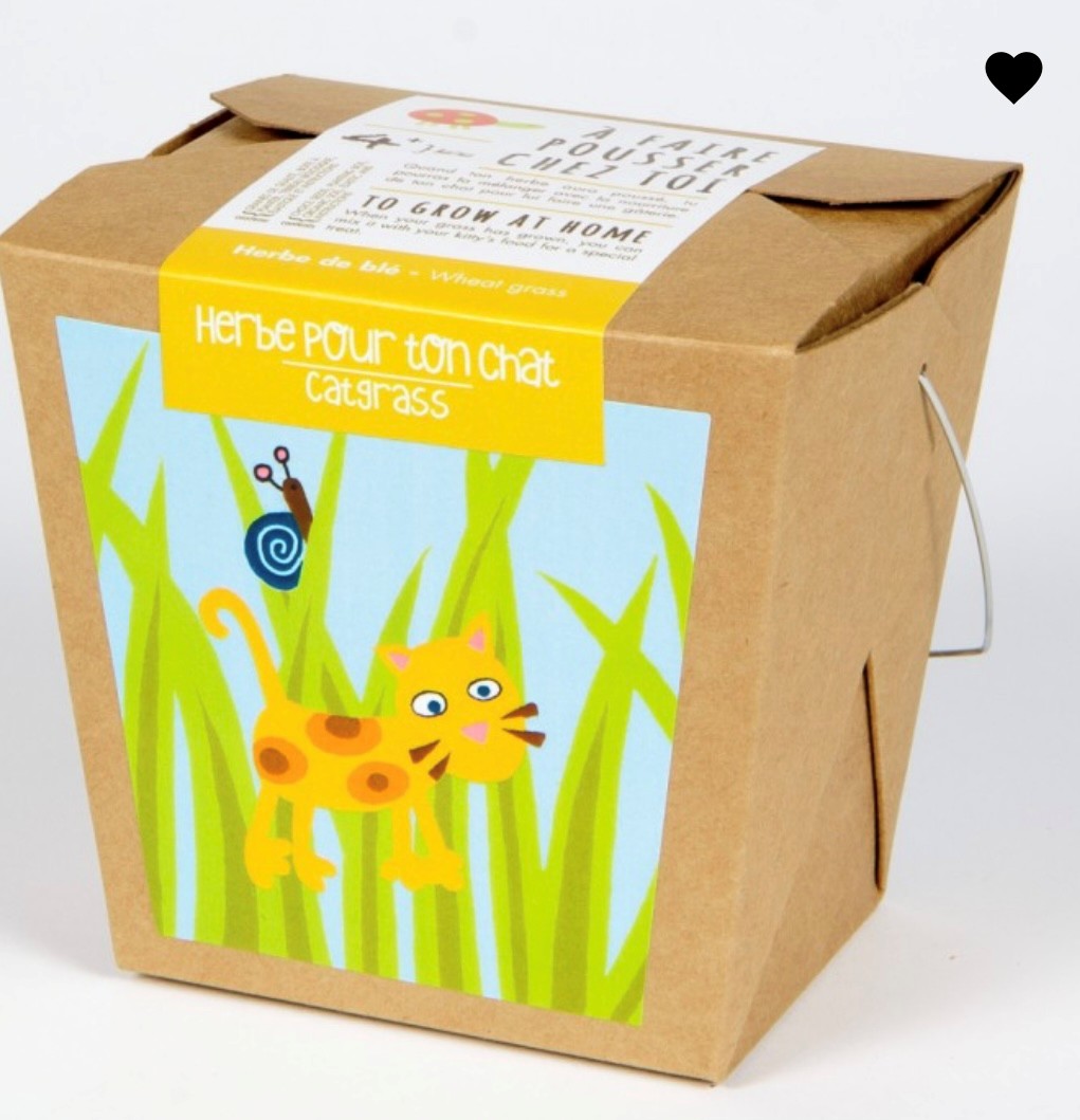 Merci professeur-e- lavande- Boite à semer - Mano Verda 2