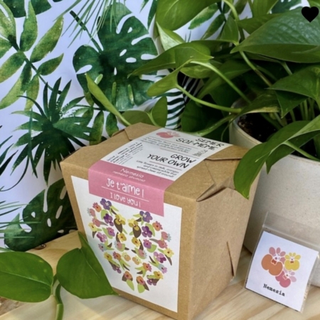 Merci professeur-e- lavande- Boite à semer - Mano Verda 3