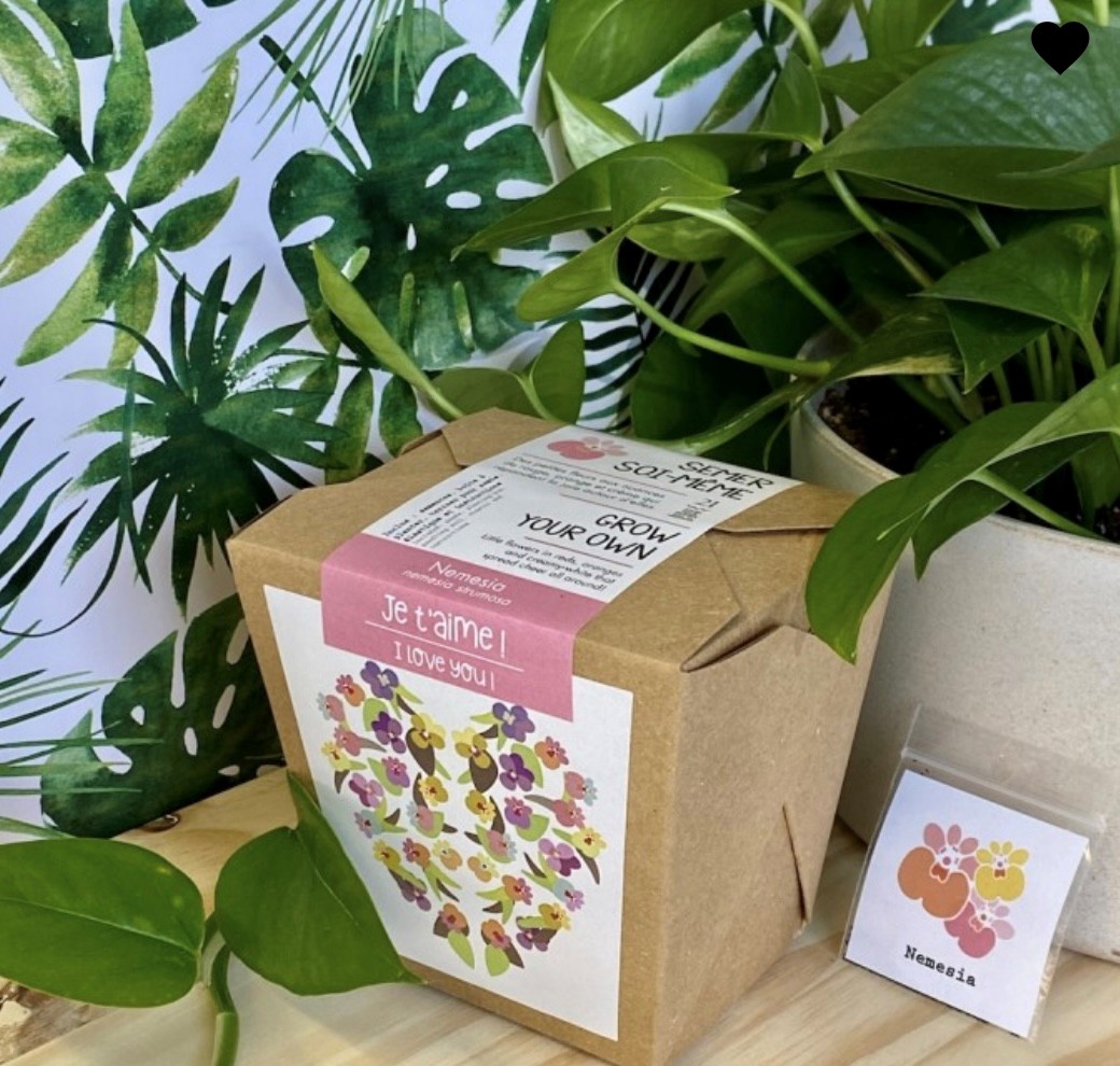 Merci professeur-e- lavande- Boite à semer - Mano Verda 3