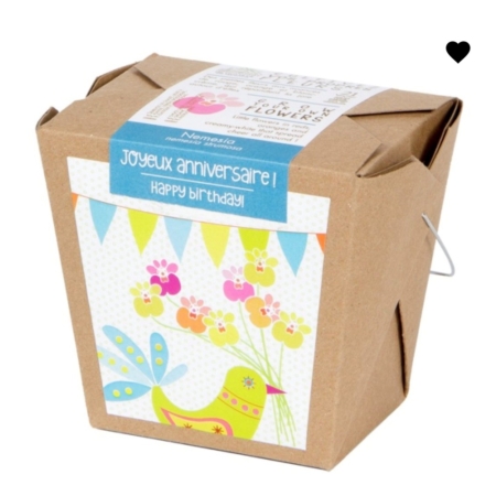 Merci professeur-e- lavande- Boite à semer - Mano Verda 4