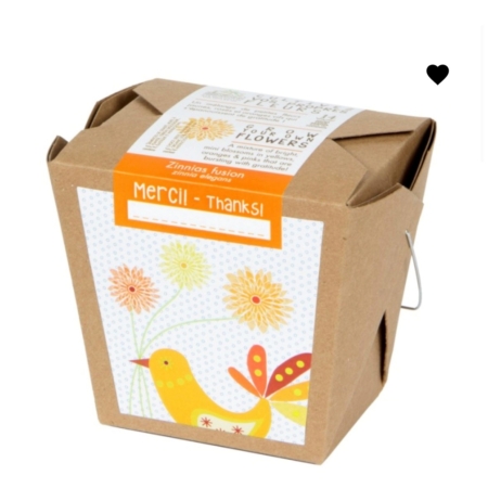 Merci professeur-e- lavande- Boite à semer - Mano Verda 5