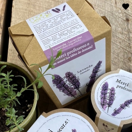 Merci professeur-e- lavande- Boite à semer - Mano Verda 6