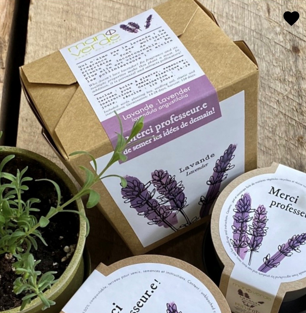 Merci professeur-e- lavande- Boite à semer - Mano Verda 6