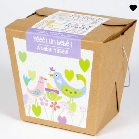 Merci professeur-e- lavande- Boite à semer - Mano Verda 7