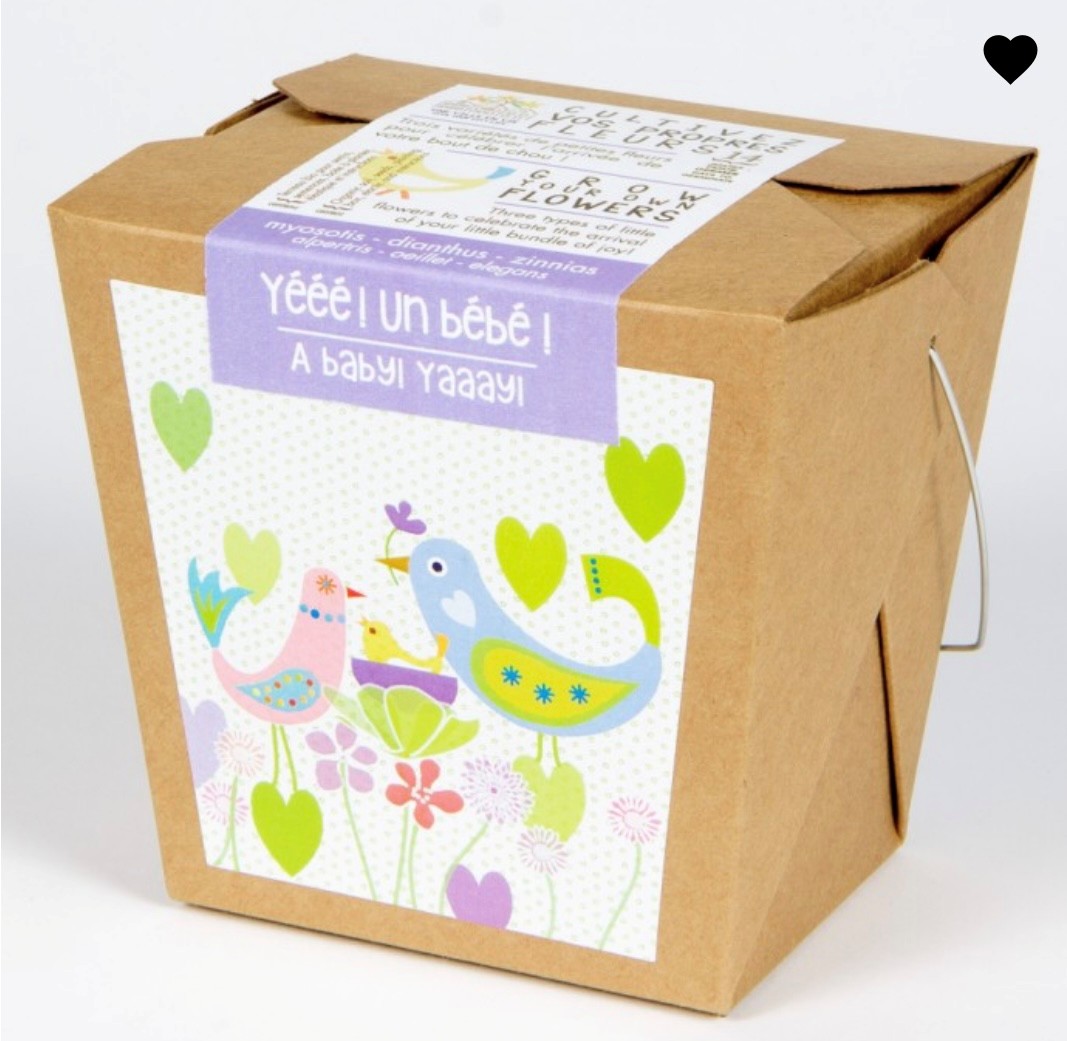 Merci professeur-e- lavande- Boite à semer - Mano Verda 7