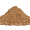 Poudre de cacao 1