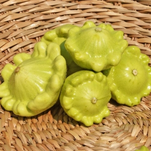 Semences - Courgette - Pâtisson jaune et vert