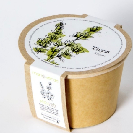 Thym - pot fibres recyclées - Mano Verda 1