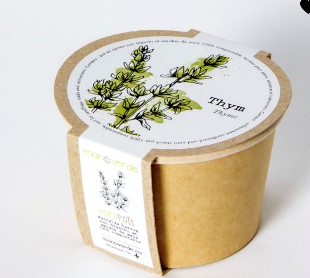 Thym - pot fibres recyclées - Mano Verda 1