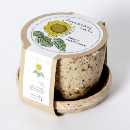 Tournesol nain - pot compostable - Mano Verda 1